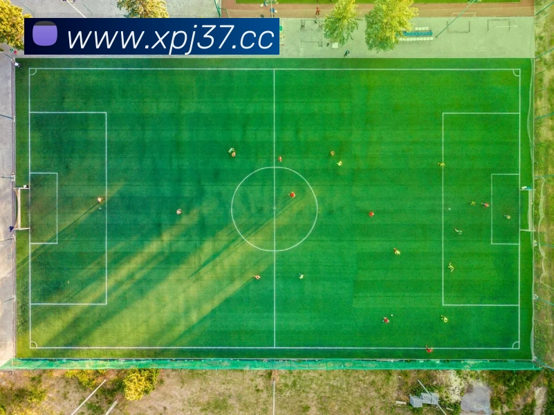 澳门新葡京网站入口APP 封面图